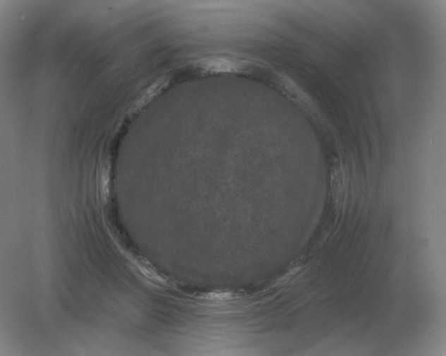 X0000082200406200702021849