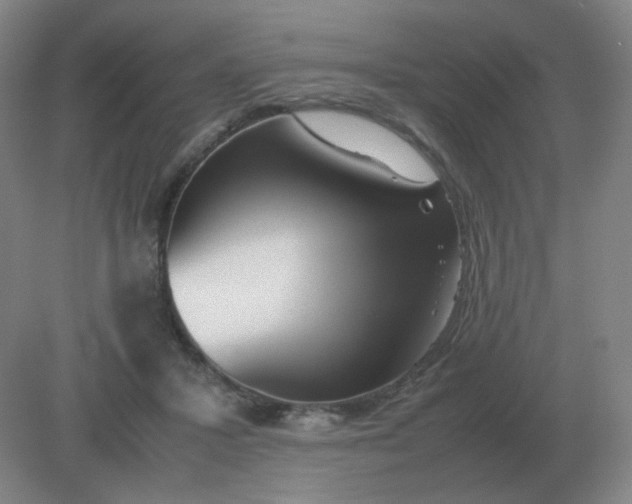 X0000082200407200702021849