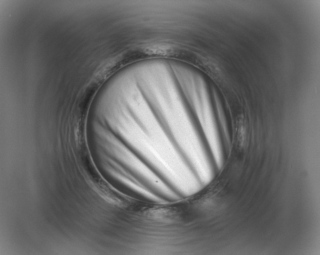 X0000082200408200702021849