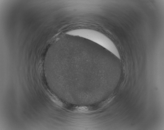 X0000082200409200702021849