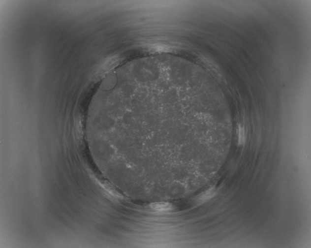 X0000082200410200702021849