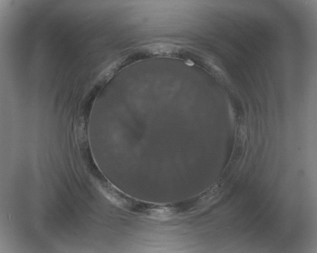 X0000082200411200702021849