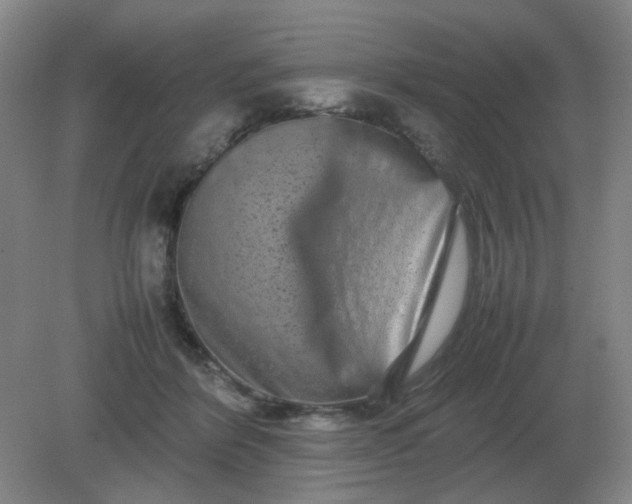 X0000082200412200702021849