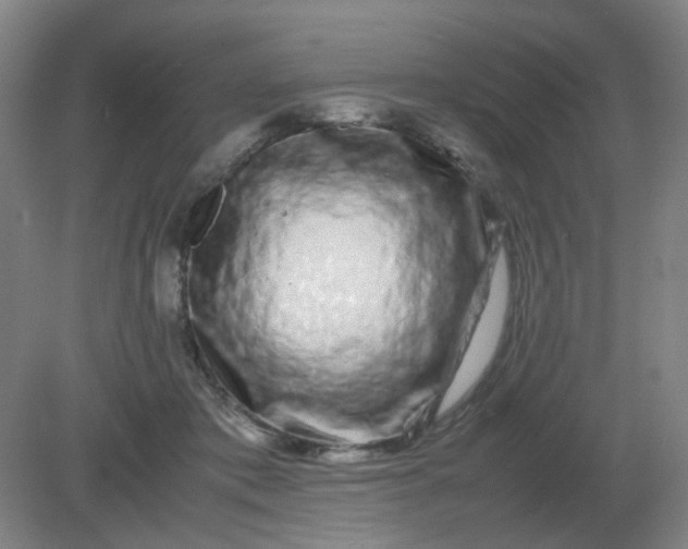 X0000082200413200702021849