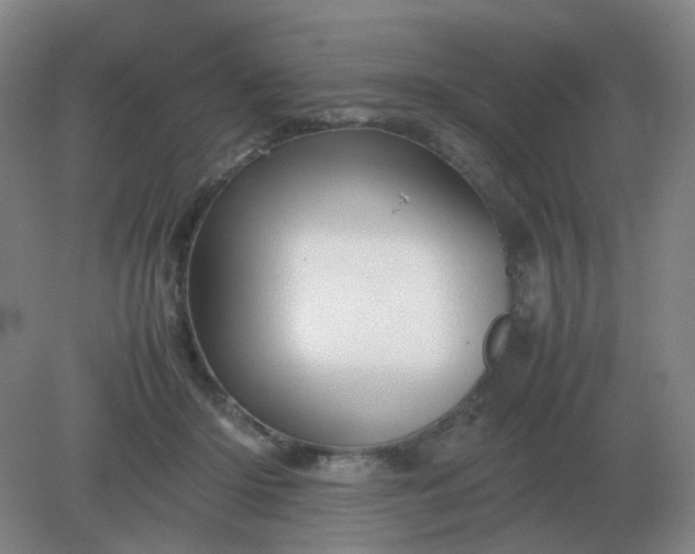 X0000082200414200702021849