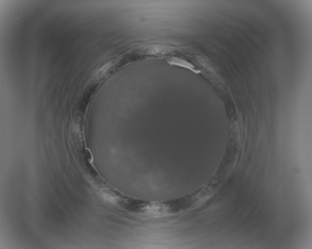 X0000082200415200702021849