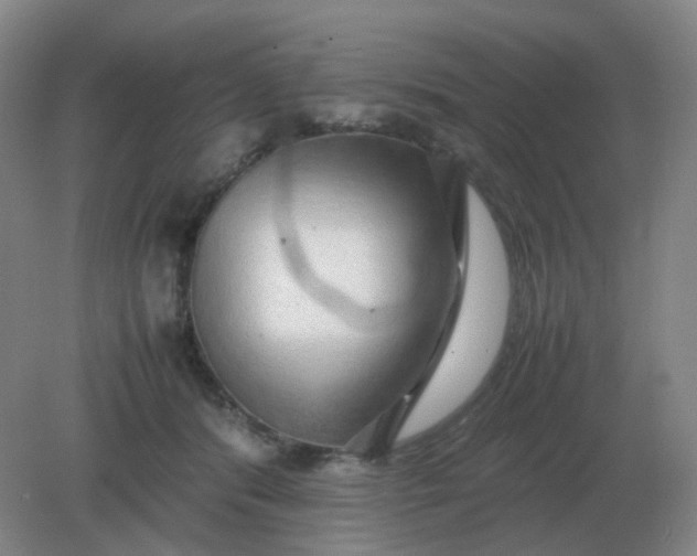 X0000082200416200702021849