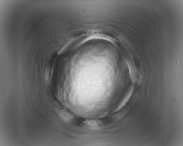 X0000082200417200702021849