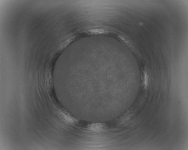 X0000082200418200702021849