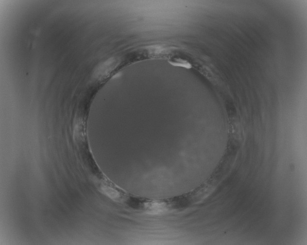 X0000082200419200702021849