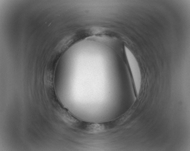 X0000082200421200702021849