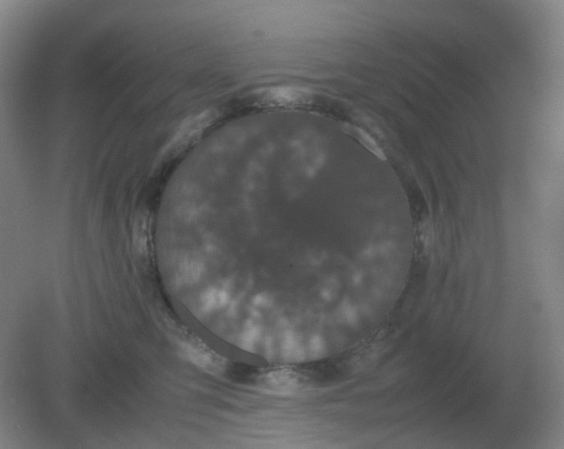 X0000082200423200702021849