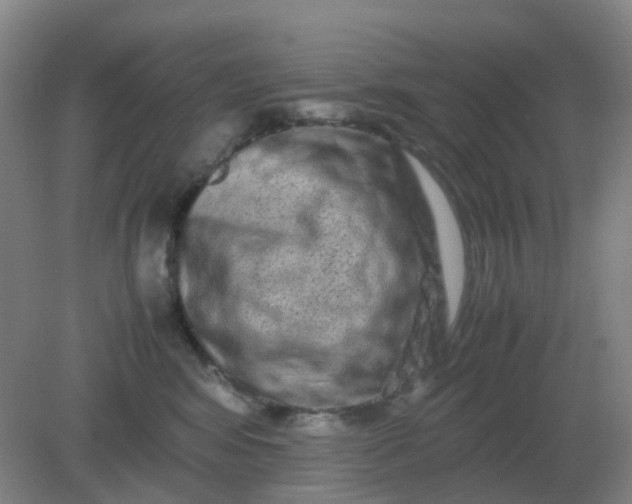 X0000082200424200702021849