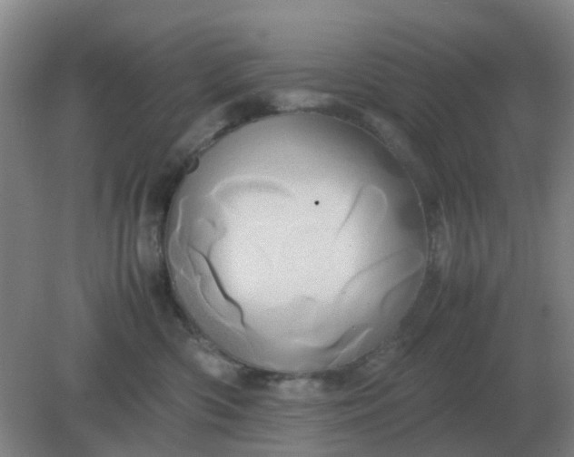 X0000082200426200702021849