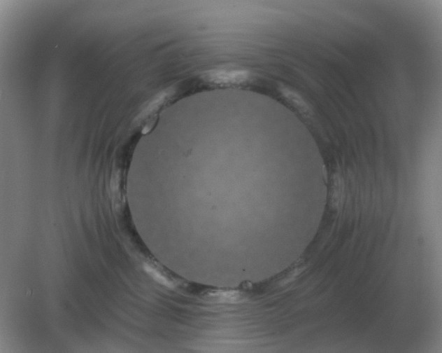 X0000082200428200702021849