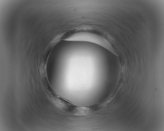 X0000082200429200702021849