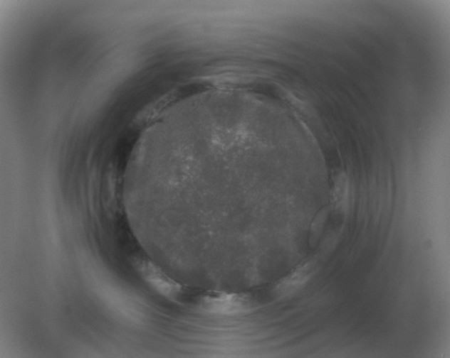 X0000082200430200702021849