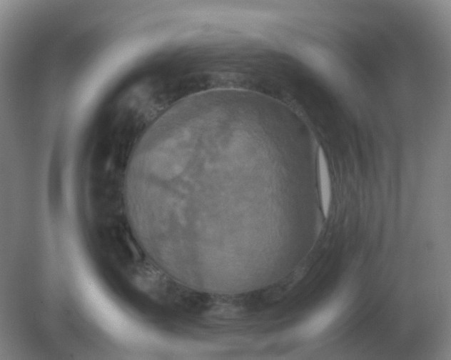 X0000082200431200702021849