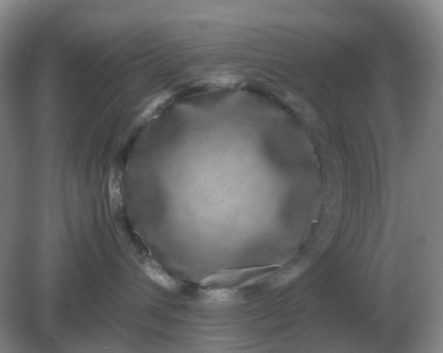 X0000082200432200702021849