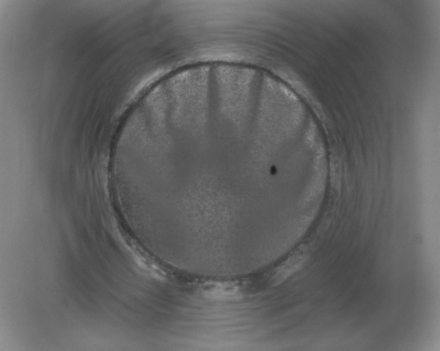 X0000082200434200702021848