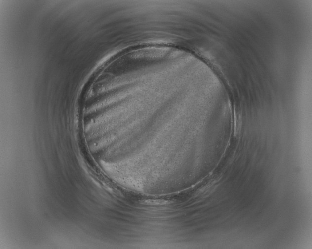 X0000082200435200702021848