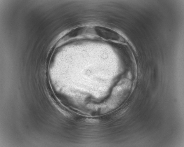 X0000082200437200702021848