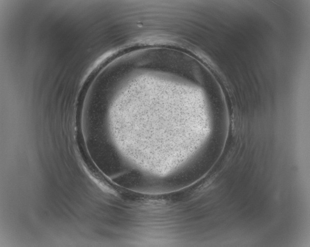 X0000082200438200702021848