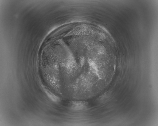 X0000082200439200702021848