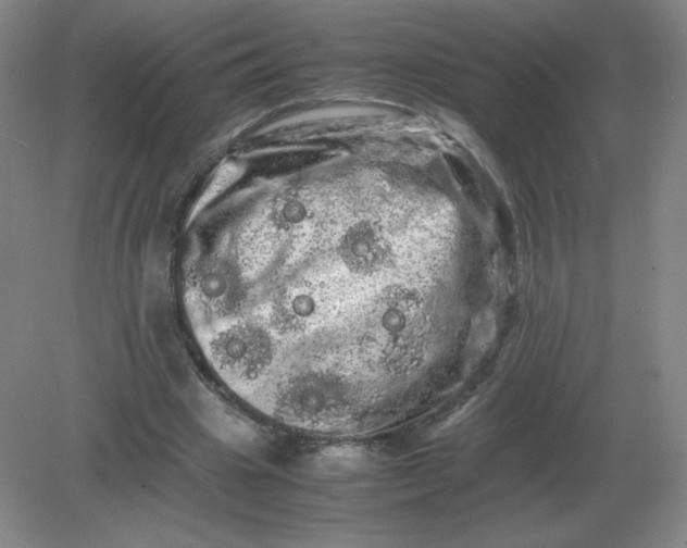 X0000082200441200702021848