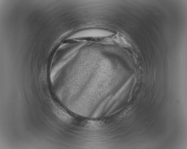 X0000082200442200702021848