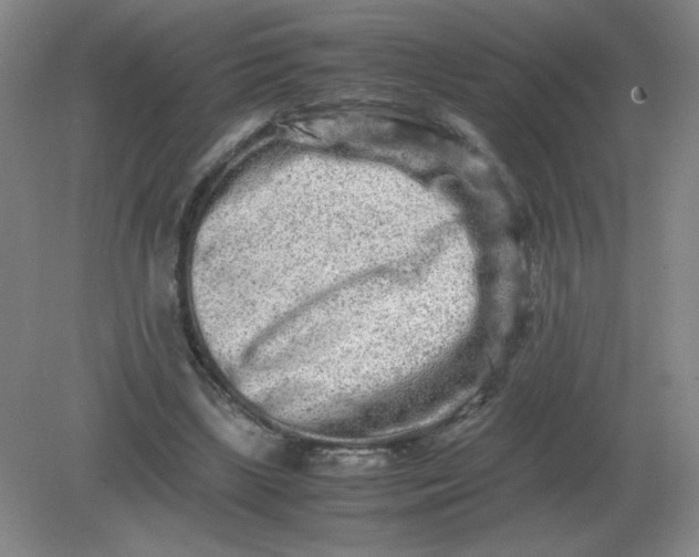 X0000082200443200702021848