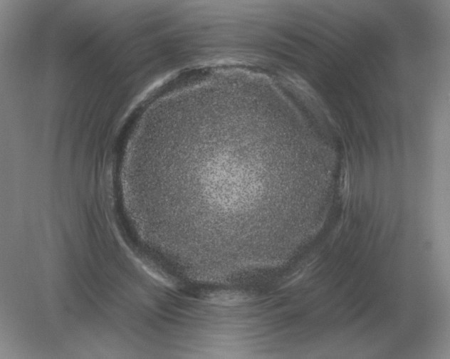 X0000082200444200702021848