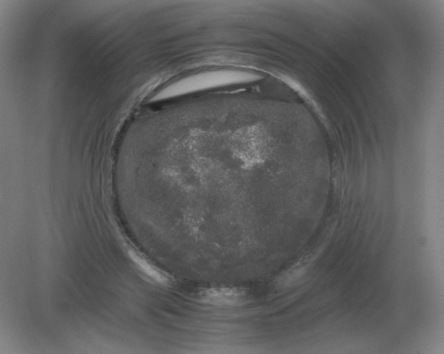 X0000082200445200702021848