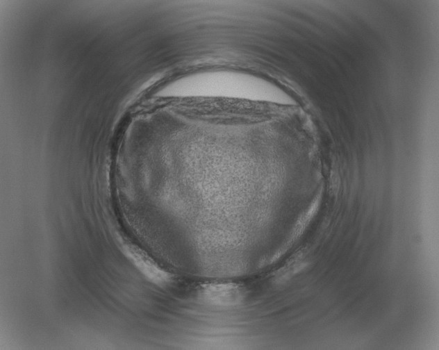 X0000082200446200702021848