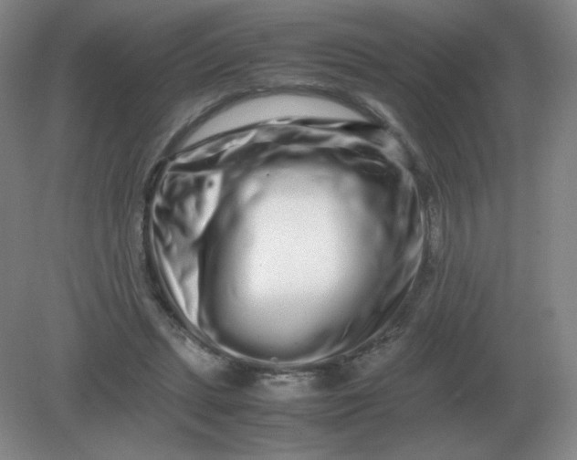 X0000082200447200702021848