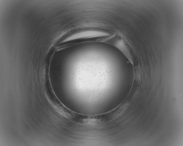 X0000082200448200702021848