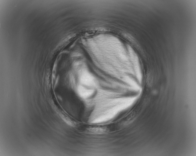 X0000082200449200702021848