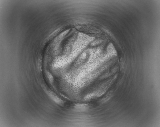 X0000082200450200702021848