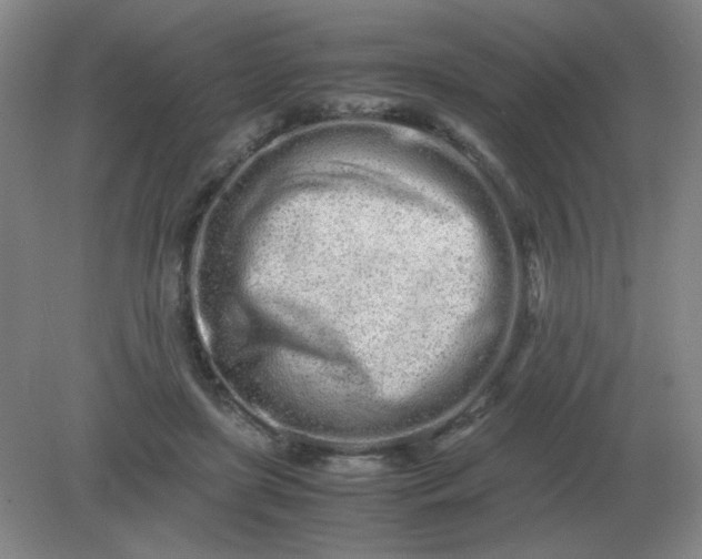 X0000082200451200702021848