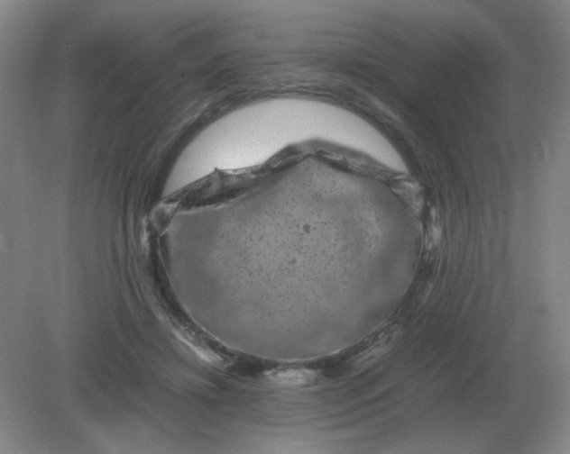 X0000082200452200702021848