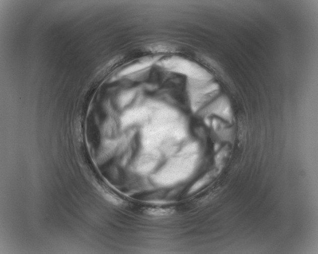 X0000082200453200702021848