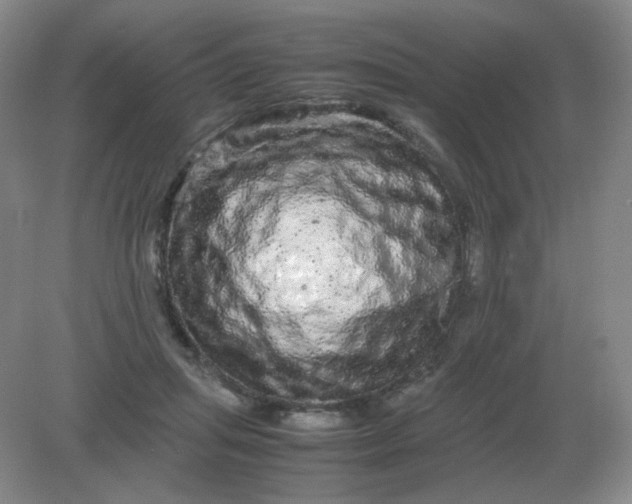 X0000082200455200702021848