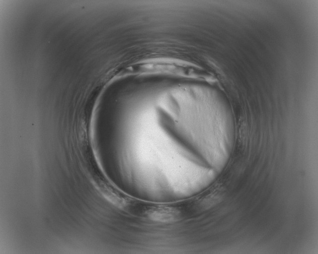 X0000082200459200702021848