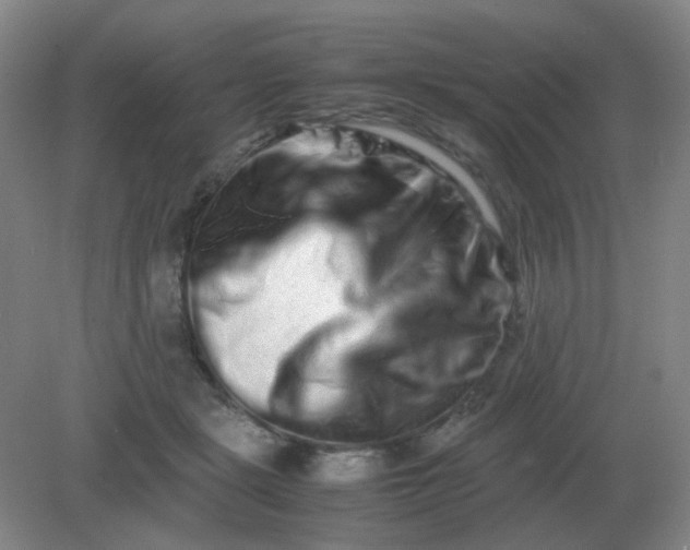 X0000082200461200702021848