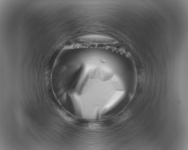 X0000082200462200702021848