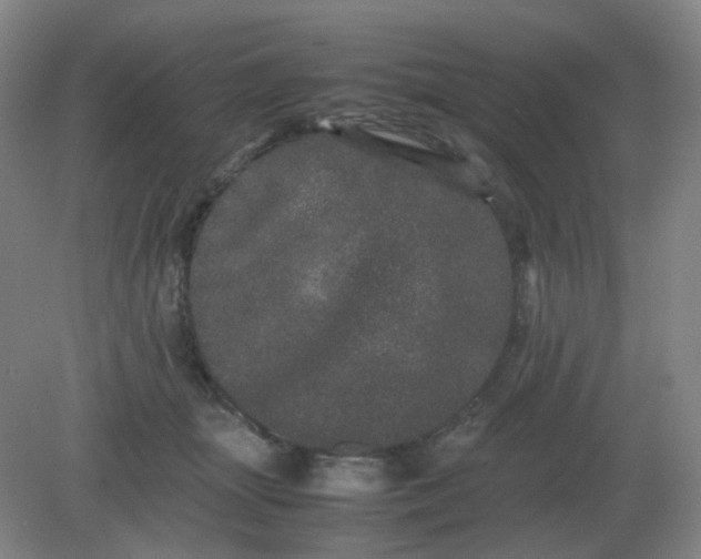 X0000082200463200702021848