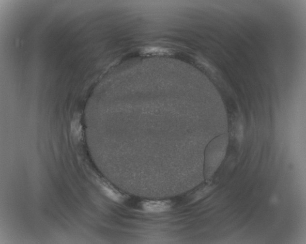 X0000082200465200702021849