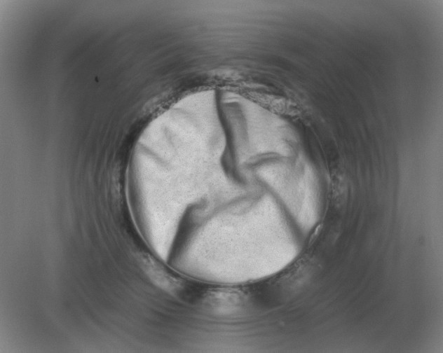 X0000082200466200702021849