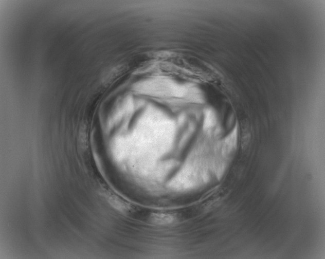 X0000082200469200702021849