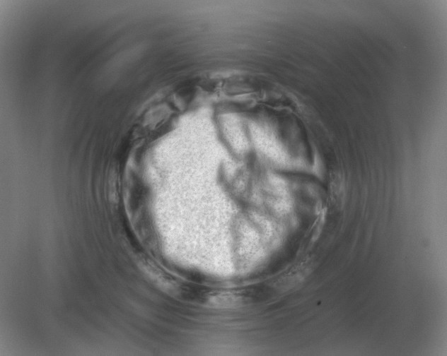 X0000082200470200702021849